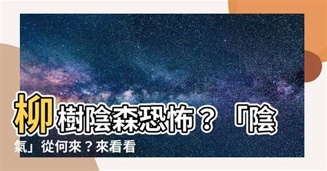 柳樹招陰|【柳樹招陰】柳樹招陰，小心鬼上身？科學解密「陰氣」之謎